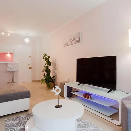 Magnifique 2 Pieces Palm Bord Appartement