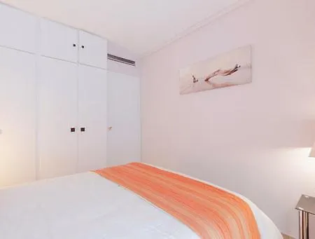 아파트 Magnifique 2 Pieces Palm Bord *