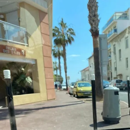 Magnifique 2 Pieces Palm Bord *