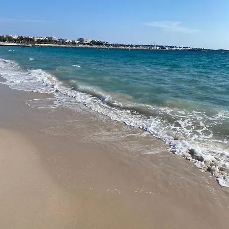 Magnifique 2 Pieces Palm Bord *