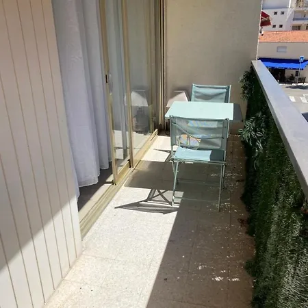 Magnifique 2 Pieces Palm Bord *